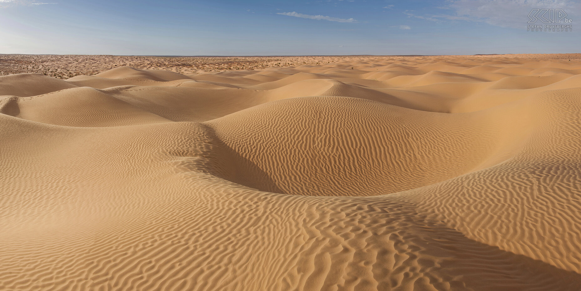 Zandduinen Panorama foto van de prachtige zandduinen in de Grote Oostelijke Erg/Grand Erg Oriental. Stefan Cruysberghs